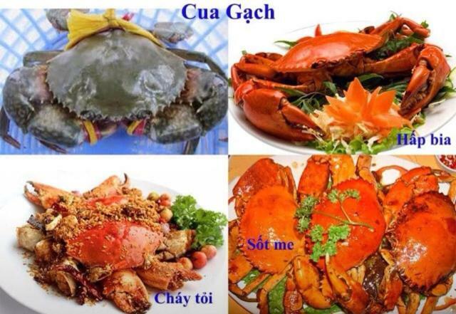 Thanh Hóa Khach San Thu Linh酒店 外观 照片